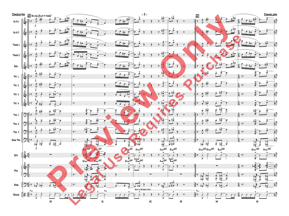 Chameleon | 小雅音樂 Hsiaoya Music