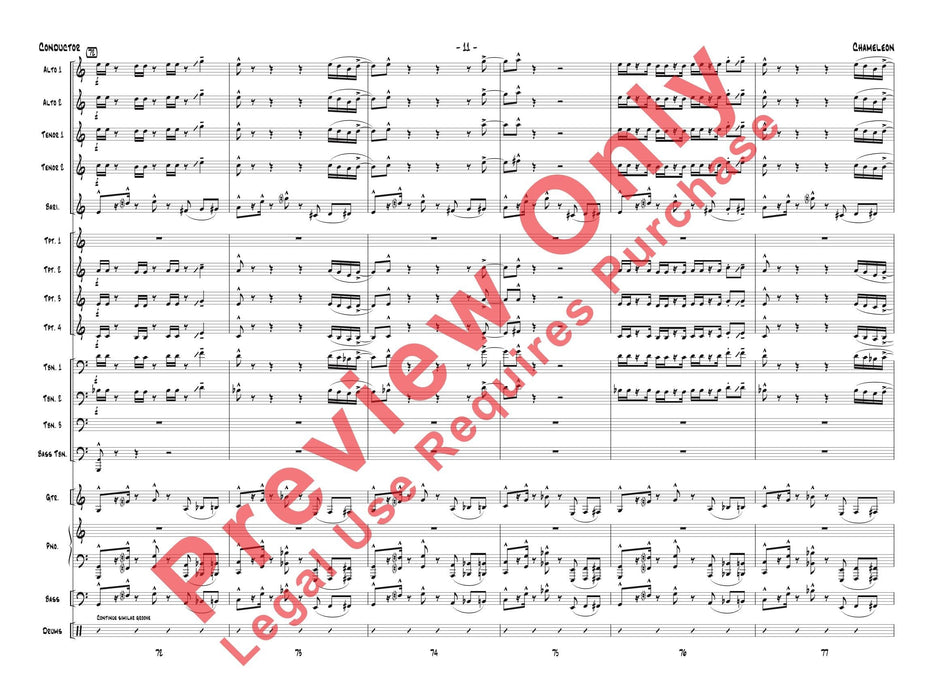 Chameleon | 小雅音樂 Hsiaoya Music