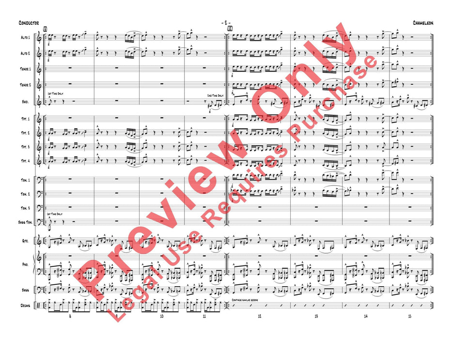 Chameleon | 小雅音樂 Hsiaoya Music