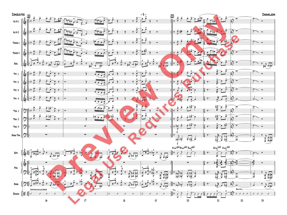 Chameleon | 小雅音樂 Hsiaoya Music