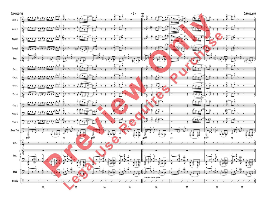 Chameleon | 小雅音樂 Hsiaoya Music