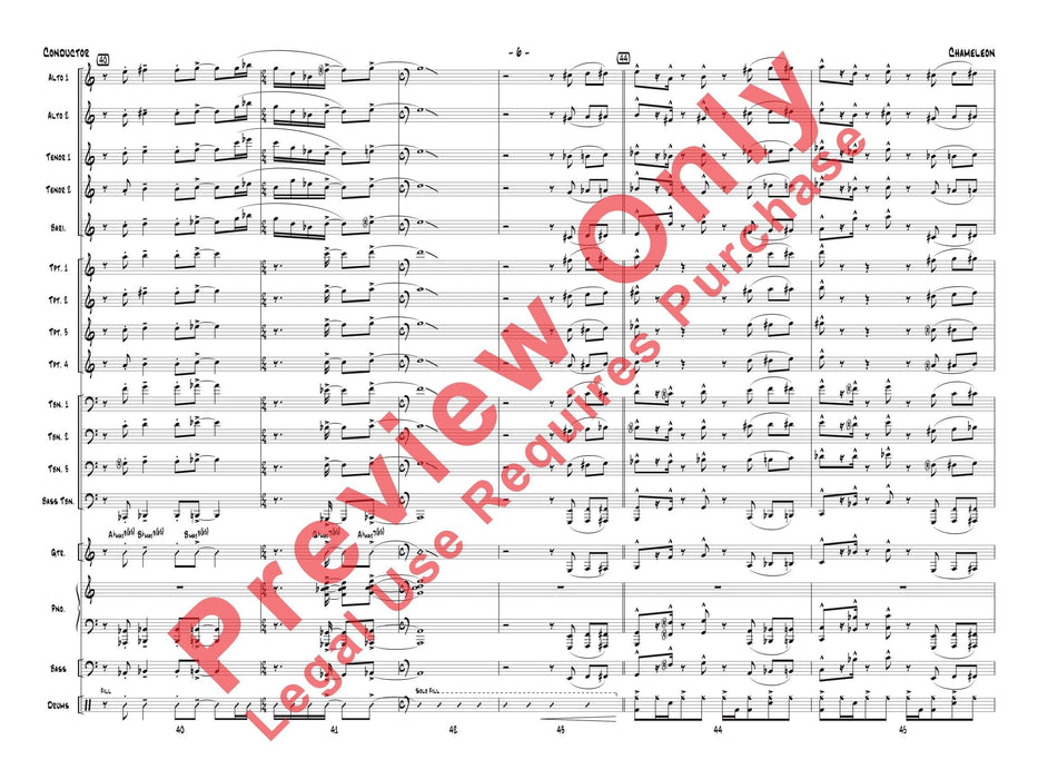 Chameleon | 小雅音樂 Hsiaoya Music