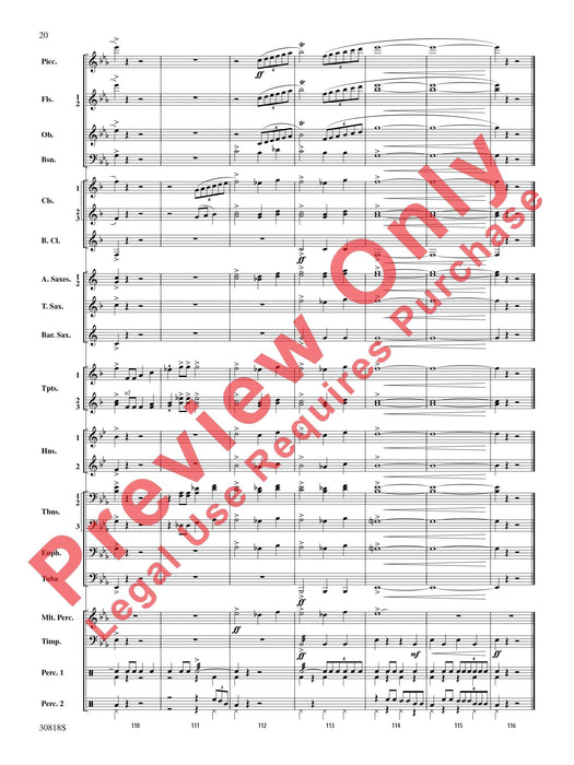 This Is My Country 總譜 | 小雅音樂 Hsiaoya Music