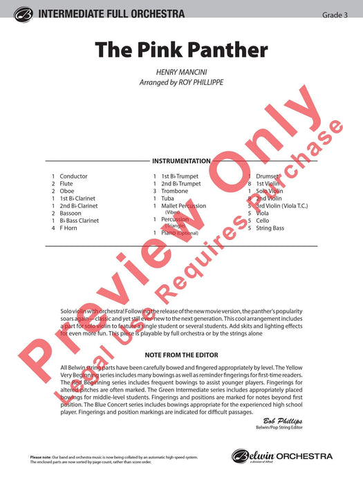 The Pink Panther For Solo Violin with Orchestra 獨奏 小提琴 管弦樂團 | 小雅音樂 Hsiaoya Music