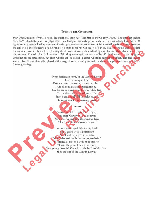 Irish Whistle Variations on "The Star of the County Down" 口哨哨笛詠唱調 | 小雅音樂 Hsiaoya Music