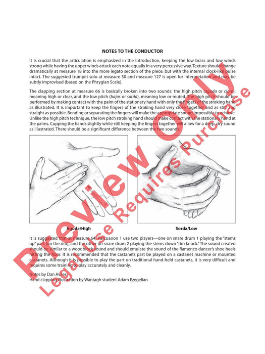 Fuego del Alma 總譜 | 小雅音樂 Hsiaoya Music