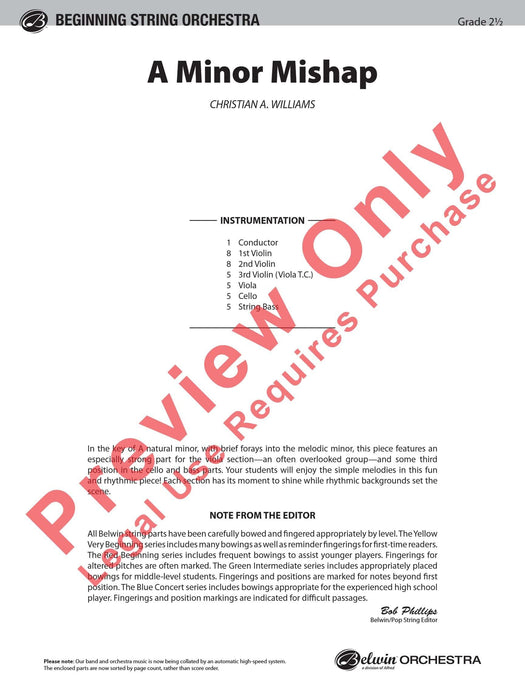 A Minor Mishap | 小雅音樂 Hsiaoya Music