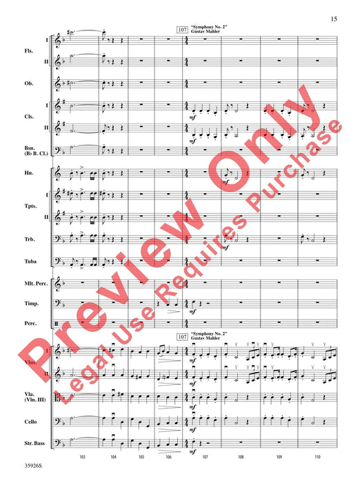 A Whole Lot of Symphony Themes 交響曲 總譜 | 小雅音樂 Hsiaoya Music