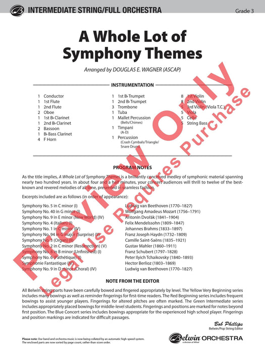 A Whole Lot of Symphony Themes 交響曲 總譜 | 小雅音樂 Hsiaoya Music