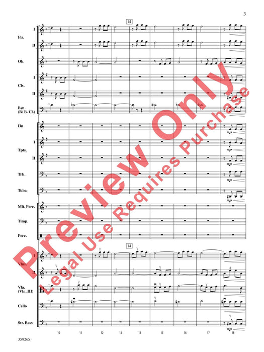 A Whole Lot of Symphony Themes 交響曲 總譜 | 小雅音樂 Hsiaoya Music