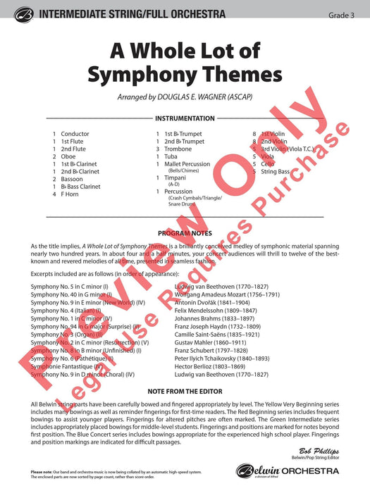 A Whole Lot of Symphony Themes 交響曲 | 小雅音樂 Hsiaoya Music