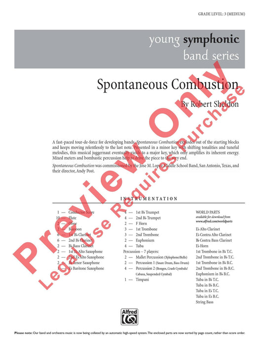 Spontaneous Combustion | 小雅音樂 Hsiaoya Music