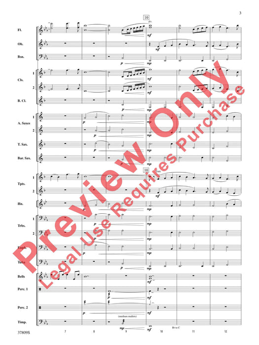 Reflections on a New Tomorrow | 小雅音樂 Hsiaoya Music