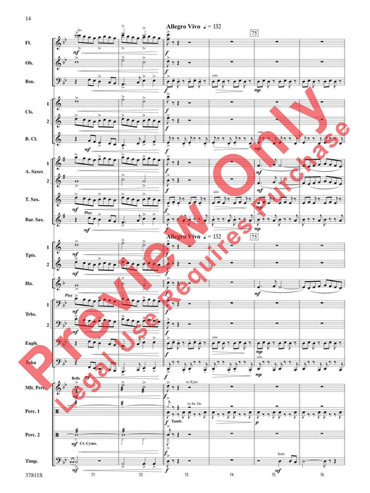 Desperate Pursuit | 小雅音樂 Hsiaoya Music