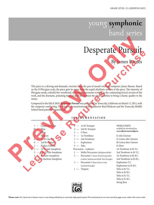 Desperate Pursuit | 小雅音樂 Hsiaoya Music