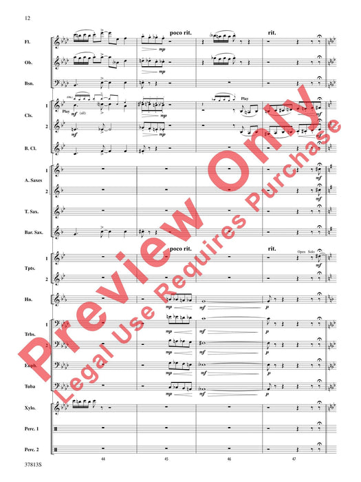 Ants in My Pants | 小雅音樂 Hsiaoya Music