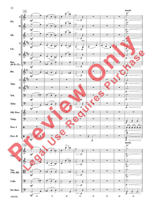 Blunderbuss Battles Adventure on the High Seas | 小雅音樂 Hsiaoya Music