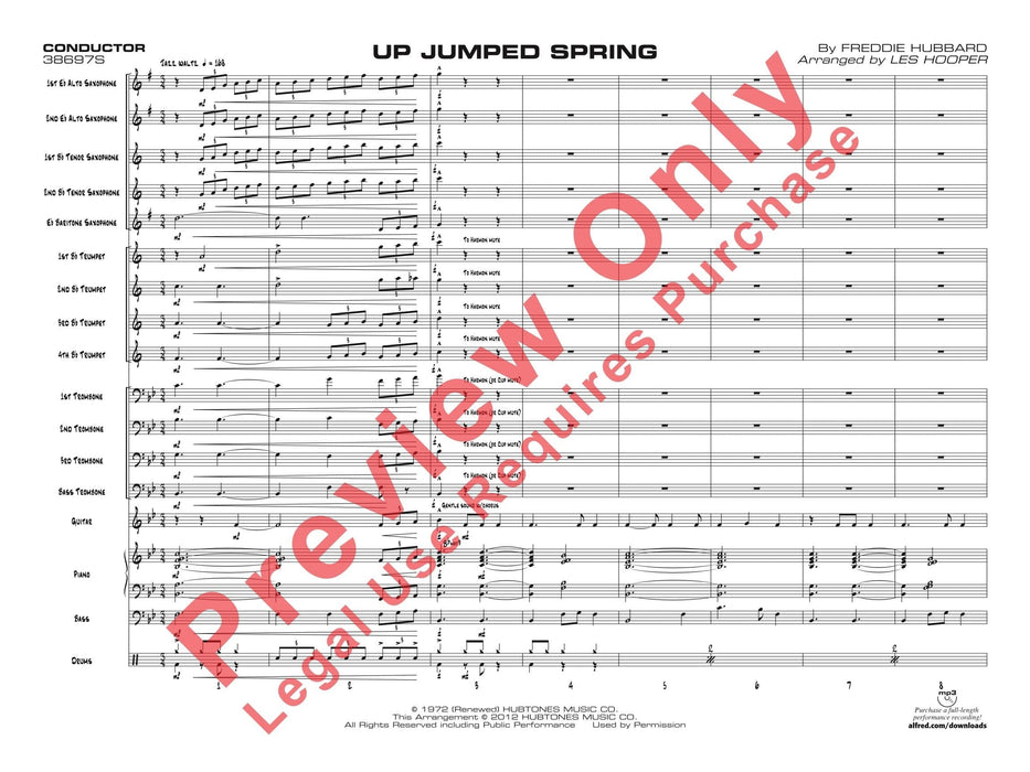 Up Jumped Spring | 小雅音樂 Hsiaoya Music