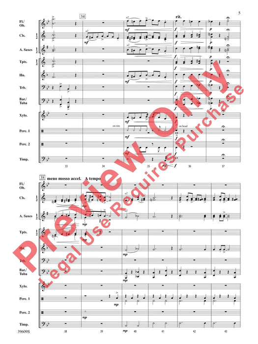 Coney Island Rag 繁音曲 | 小雅音樂 Hsiaoya Music