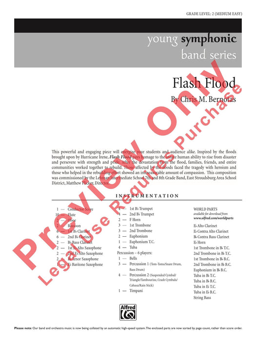 Flash Flood | 小雅音樂 Hsiaoya Music