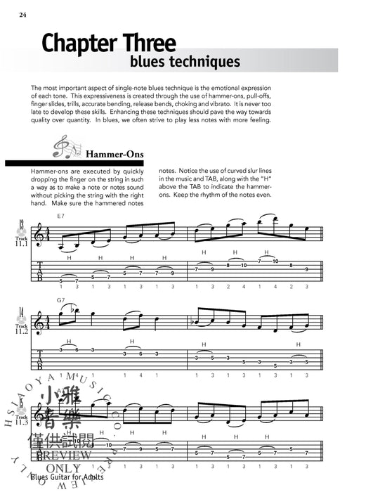 Blues Guitar for Adults The Grown-Up Approach to Playing Blues Guitar 藍調吉他 藍調吉他 | 小雅音樂 Hsiaoya Music