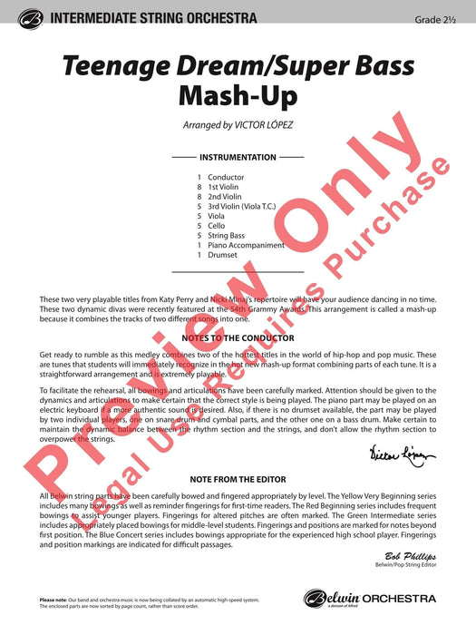 Teenage Dream / Super Bass Mash-Up | 小雅音樂 Hsiaoya Music