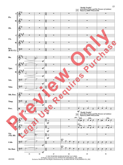 The Magic of Harry Potter Featuring themes from all eight motion pictures | 小雅音樂 Hsiaoya Music