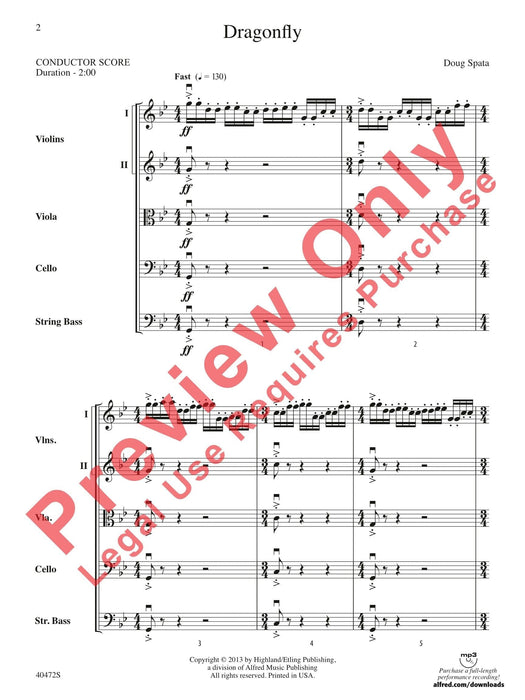 Dragonfly | 小雅音樂 Hsiaoya Music