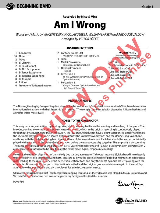 Am I Wrong As Recorded by Nico & Vinz | 小雅音樂 Hsiaoya Music