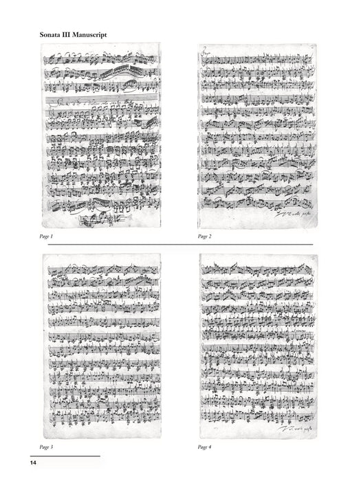 J. S. Bach: Violin Sonatas BWV 1001, 1003, 1005 小提琴 奏鳴曲 | 小雅音樂 Hsiaoya Music