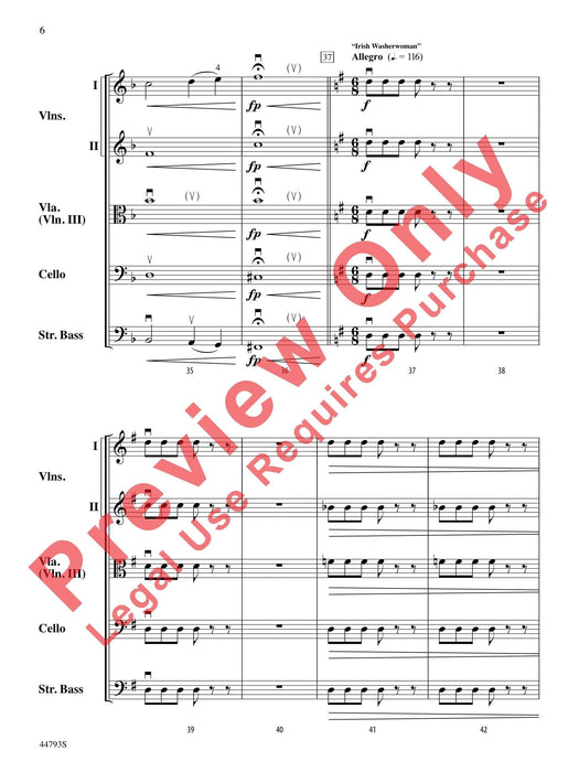 An Irish Journey Featuring Danny Boy and Irish Washerwoman | 小雅音樂 Hsiaoya Music