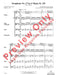Symphony No. 17 in G Major, K. 129 Mvt. 2 Andante 莫札特 交響曲 行板 | 小雅音樂 Hsiaoya Music