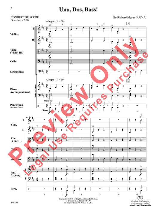 Uno, Dos, Bass! Bass Section Feature 樂節 | 小雅音樂 Hsiaoya Music