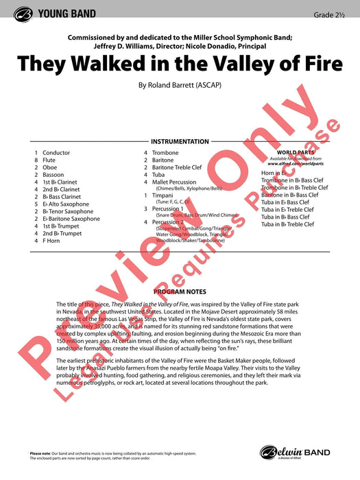 They Walked in the Valley of Fire | 小雅音樂 Hsiaoya Music