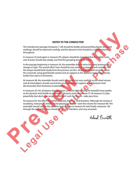 They Walked in the Valley of Fire | 小雅音樂 Hsiaoya Music