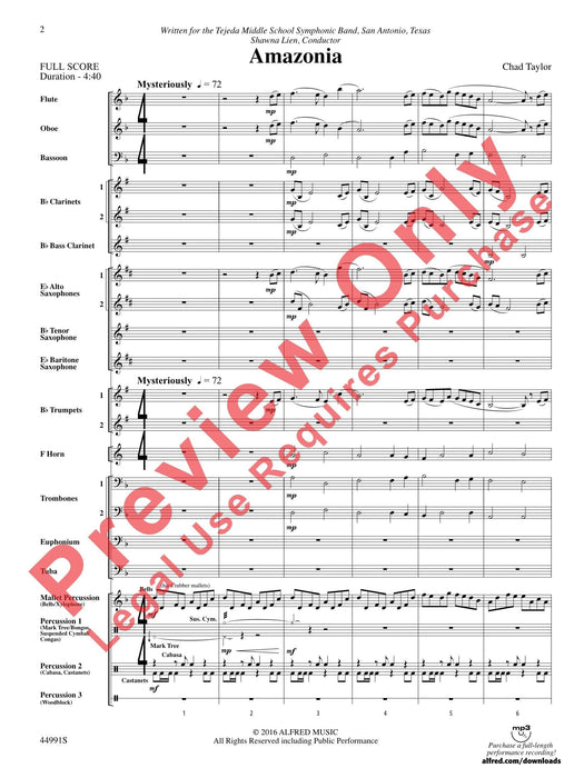 Amazonia | 小雅音樂 Hsiaoya Music