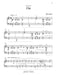 Mike Springer's Favorite Solos, Book 2 8 of His Original Piano Solos 獨奏 鋼琴 獨奏 | 小雅音樂 Hsiaoya Music