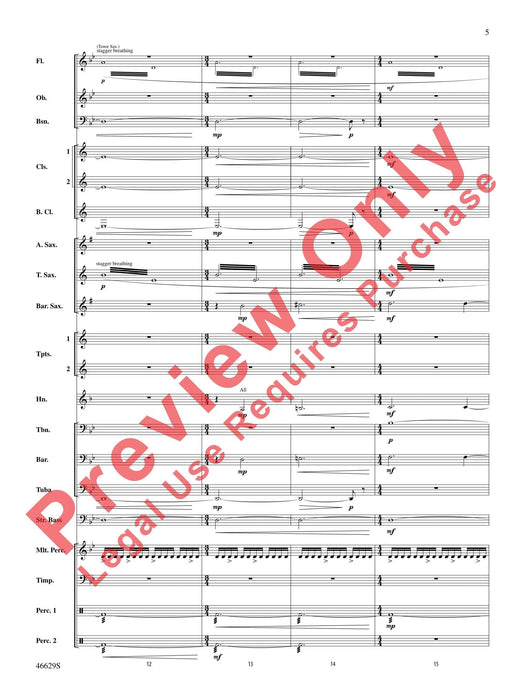 Wonder Woman: From the Warner Bros. Soundtrack | 小雅音樂 Hsiaoya Music