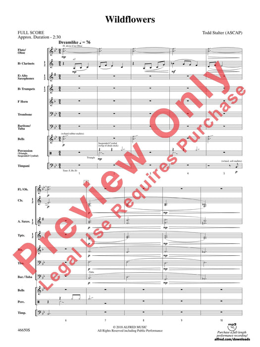 Wildflowers 總譜 | 小雅音樂 Hsiaoya Music