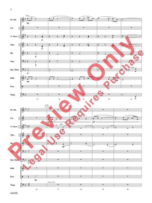 Wildflowers 總譜 | 小雅音樂 Hsiaoya Music