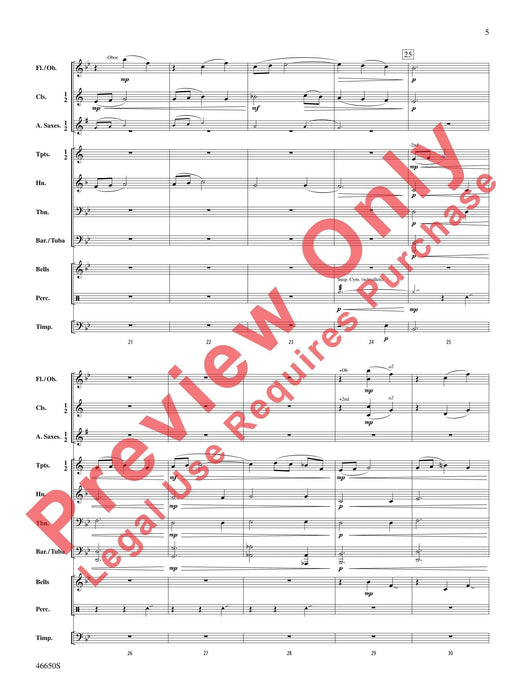 Wildflowers 總譜 | 小雅音樂 Hsiaoya Music