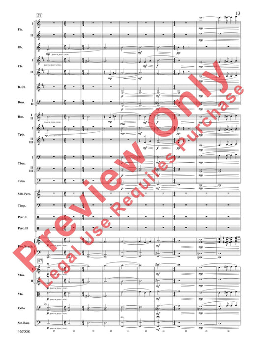 Wonder Woman: From the Warner Bros. Soundtrack 總譜 | 小雅音樂 Hsiaoya Music