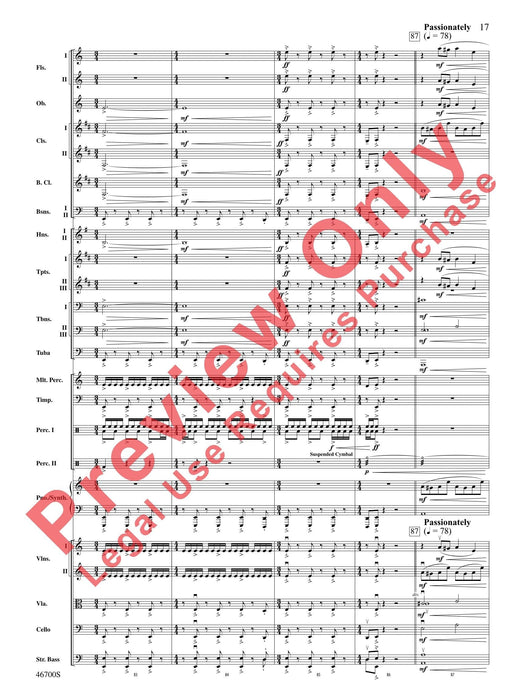 Wonder Woman: From the Warner Bros. Soundtrack 總譜 | 小雅音樂 Hsiaoya Music