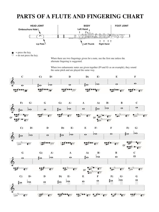 Pop & Country Instrumental Solos 獨奏 | 小雅音樂 Hsiaoya Music