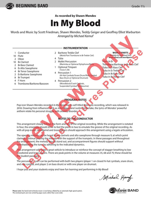 In My Blood As Recorded by Shawn Mendes 總譜 | 小雅音樂 Hsiaoya Music