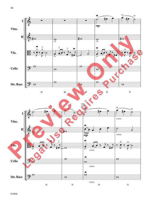 Primal Strings 弦樂 | 小雅音樂 Hsiaoya Music