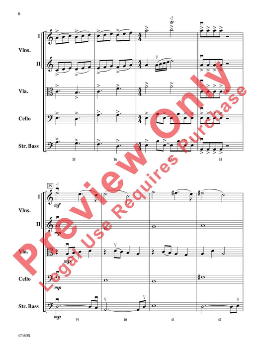 Primal Strings 弦樂 | 小雅音樂 Hsiaoya Music