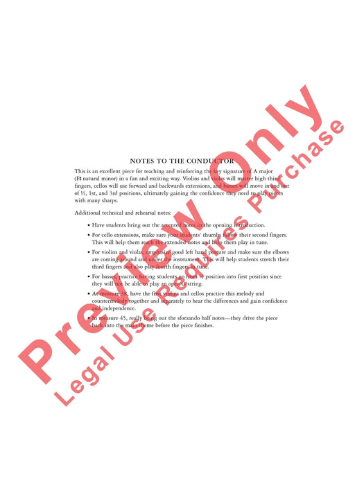 All Hands Hoay! A Pirate's Tale | 小雅音樂 Hsiaoya Music