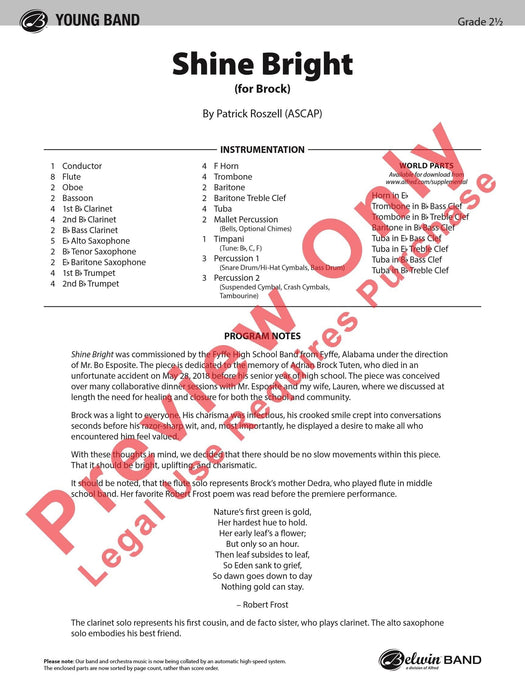 Shine Bright (for Brock) 總譜 | 小雅音樂 Hsiaoya Music