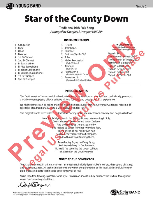 Star of the County Down 總譜 | 小雅音樂 Hsiaoya Music